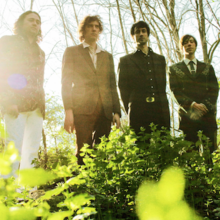 The Sadies