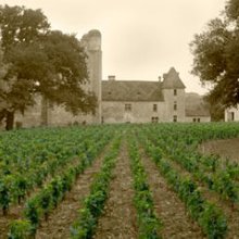 Bordeaux fête le vin au Champlain