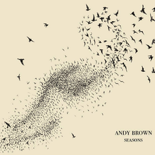 Andy Brown